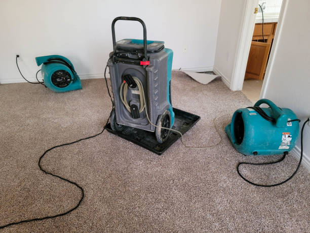 Best Professional water damage repair  in Harlowton, MT