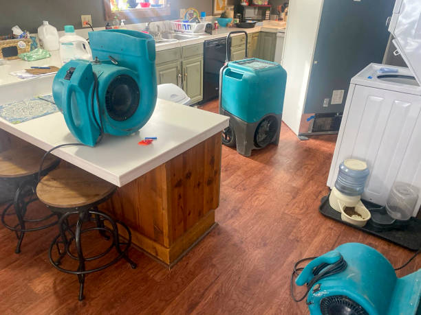 Best Sewage cleanup and water damage restoration  in Harlowton, MT