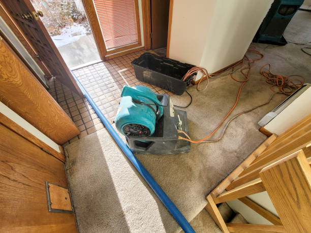 Best Ceiling water damage repair  in Harlowton, MT