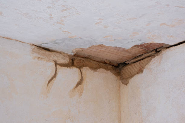 Best Water damage restoration experts  in Harlowton, MT