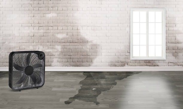 Best 24-hour water damage restoration  in Harlowton, MT