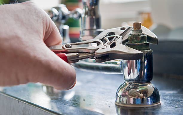 Best Basement water damage restoration  in Harlowton, MT