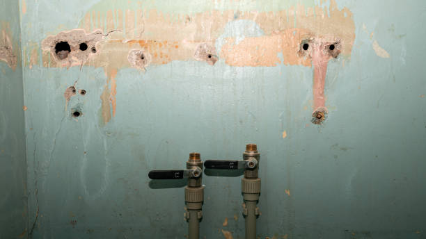  Harlowton, MT Water damage restoration Pros
