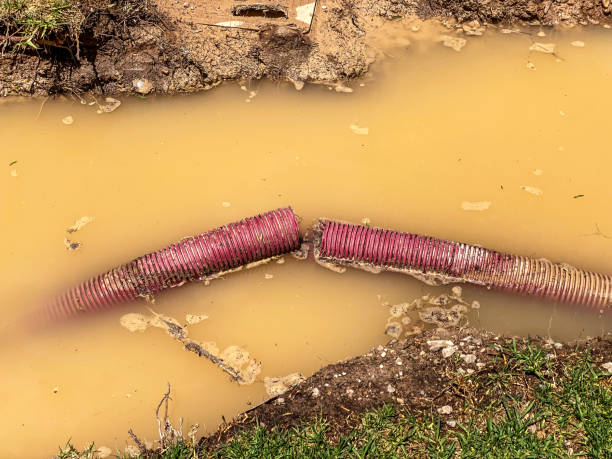 Best Commercial water damage restoration  in Harlowton, MT