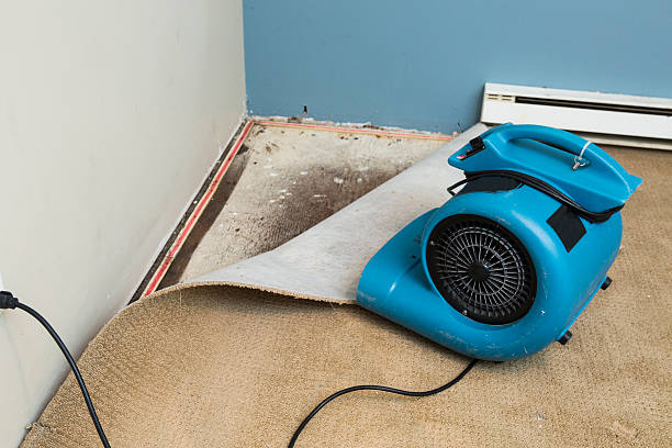 Best Water damage restoration near me  in Harlowton, MT